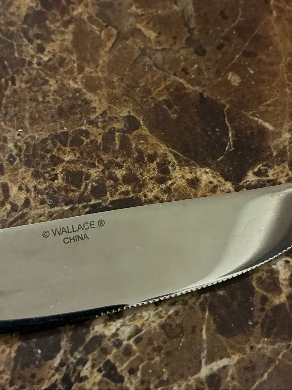 Wallace Napoli Frost Stainless Steel Knife and Salad Fork Set